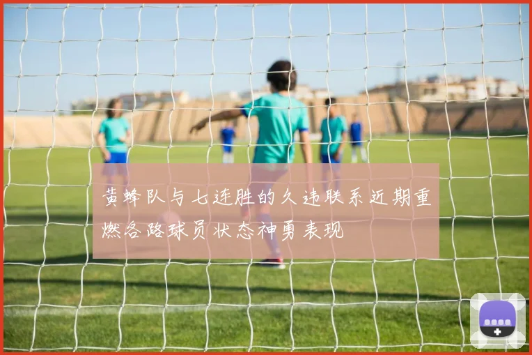 黄蜂队与七连胜的久违联系近期重燃各路球员状态神勇表现